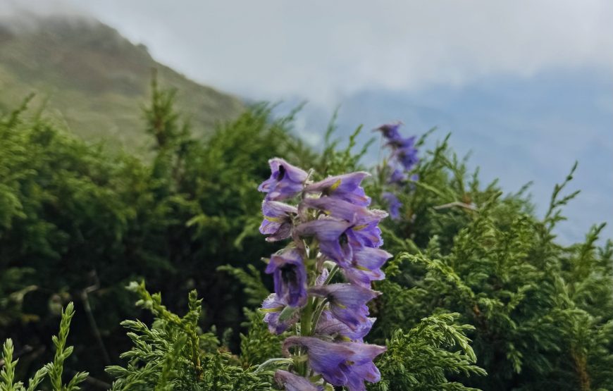 Chopta Tungnath – Chandrashila